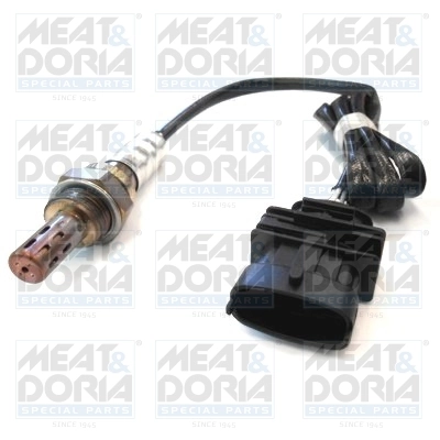 Oxygen Sensor